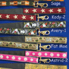 Image of Astrid-2 Leash