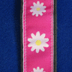 Image of Astrid-2 Leash