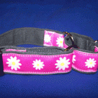 Image of Astrid-2 Martingale Collar
